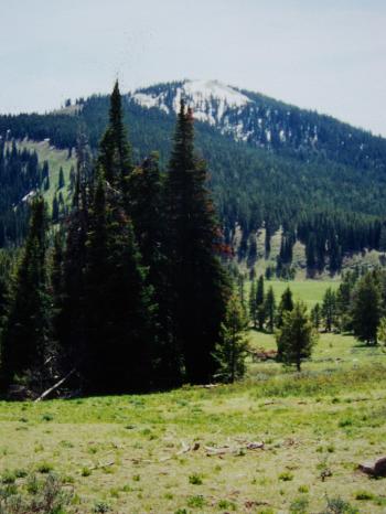 PIC Peak' el 9283'. Photo by Rick Baugher.