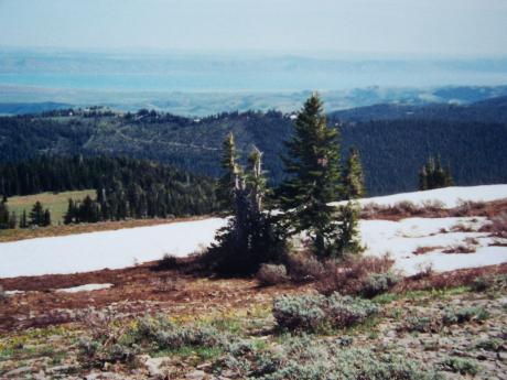 The summit of Midnight Mountain el 9328'. Photo Rick Baugher.