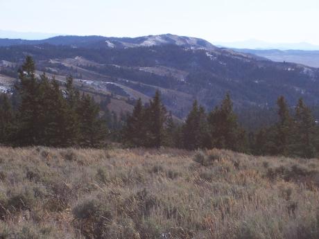 Blackfoot Crest, photo by Rick Baugher.