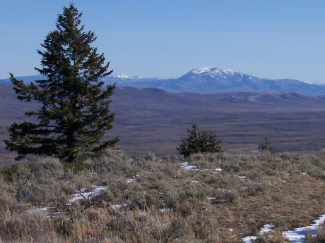 Caribou Mountain, photo by Rick Baugher.