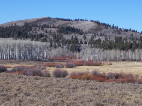 North Seventy Mountain, photo by Rick Baugher.