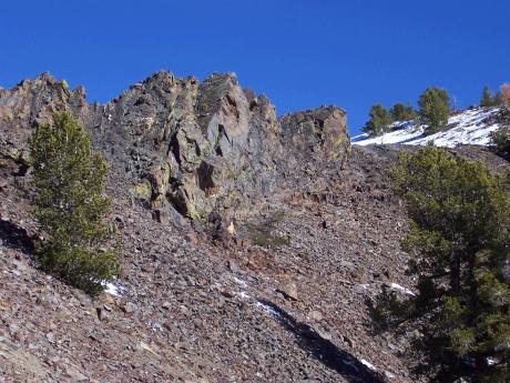 Near the summit of Mt Starter, photo by Rick Baugher.
