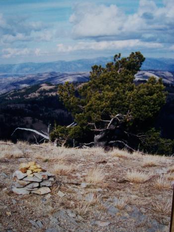 Golden Gate Peak el 8393'. Photo Rick Baugher.