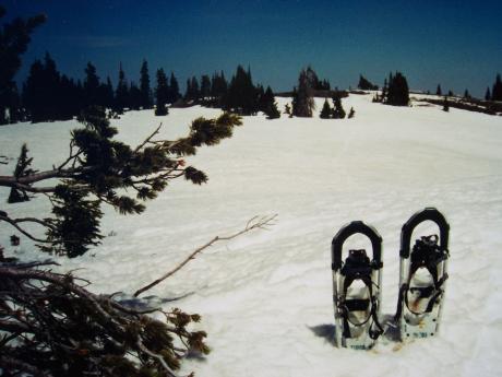 Little Elk Mountain el 8760'. Photo Rick Baugher.