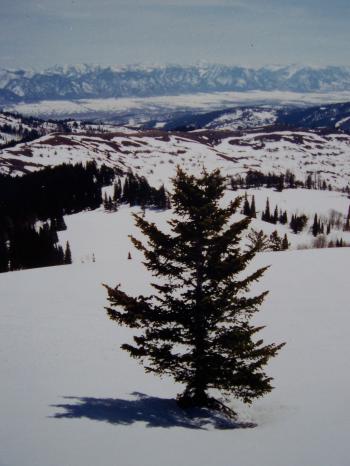 View SE to Star Valley and Salt River Range. Photo by Rick Baugher, 4/18/99.