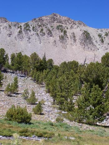 View NW to North Lem Peak el 10456' (prominence 356') from near my camp in Bear Valley drainage, 8/22/08. Rick Baugher photo.