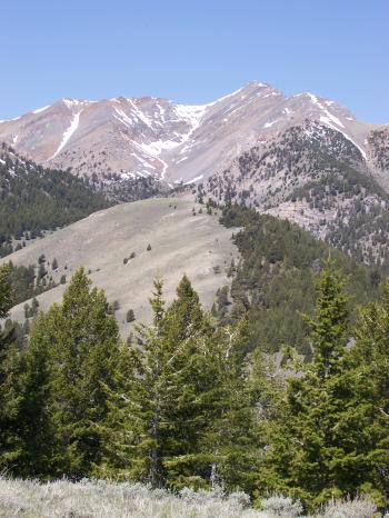 SE aspect of Little Diamond, photo by Rick Baugher