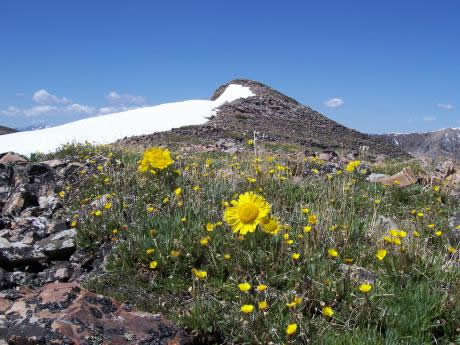 Park Fork Peak summit, photo by Rick Baugher