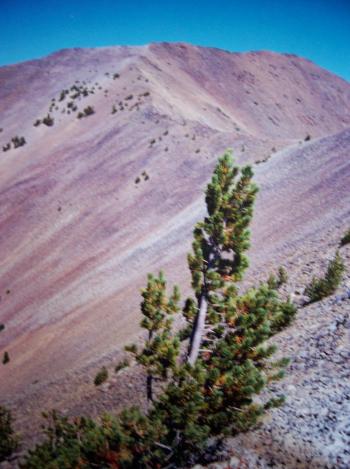 View Patterfalls. Rick Baugher photo, 9/20/99