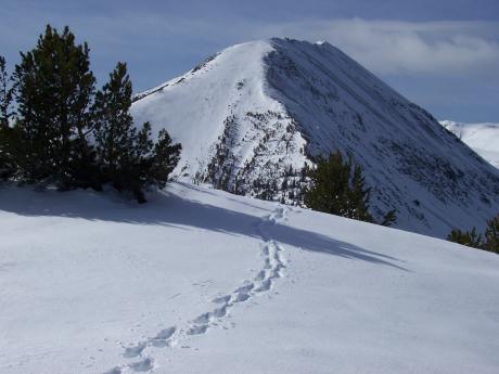 Long Mountain.. Rick Baugher photo.