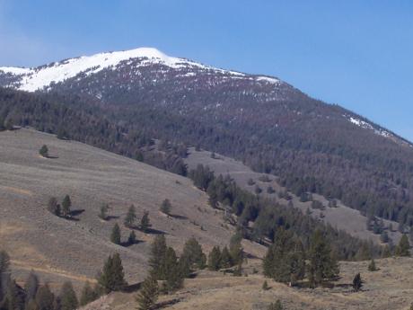 Stag Peak. Rick Baugher photo.