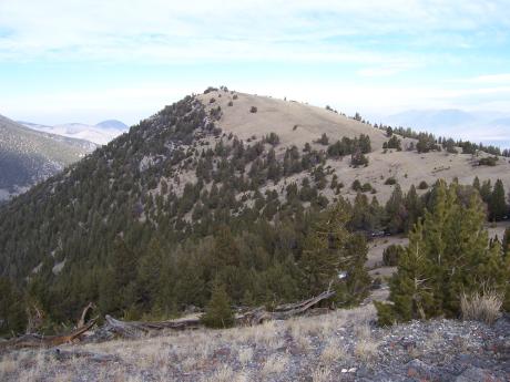 Robbery Hill el 8937'. Photo by Rick Baugher