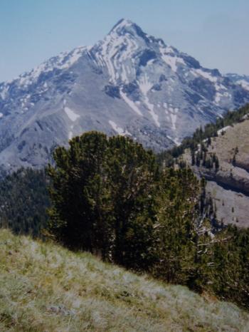 View SE to Ferguson Peak, 7/4/99. Baugher photo