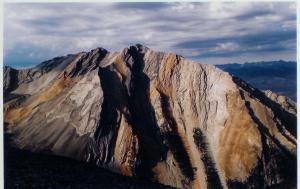 Peak 11,308 rising above Cedar Canyon, looking south from Borah