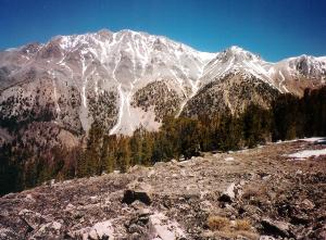 Mt Morrison