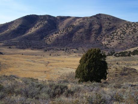 View W to Dalam, photo by Rick Baugher.