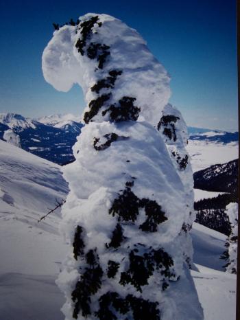 Snow ghosts. Photo by Rick Baugher.
