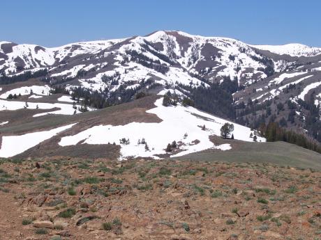Upper Trail Creek drainage to West Trail Tail. Photo by Rick Baugher.