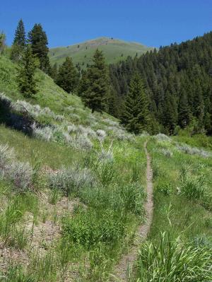 View NE toward Upper Fisher , photo by Rick Baugher