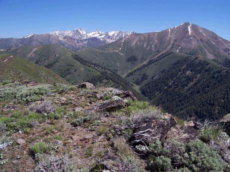 View from the summit of Upper Fisher, photo by Rick Baugher