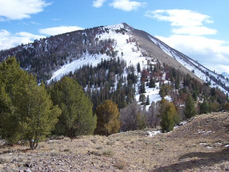 Guildenstern Peak, photo by Rick Baugher