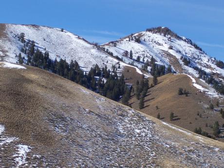 View W to Little Boone Peak. Saw 10 elk high on the mountain. Photo by Rick Baugher