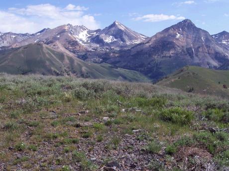 Hyndside summit, photo by Rick Baugher