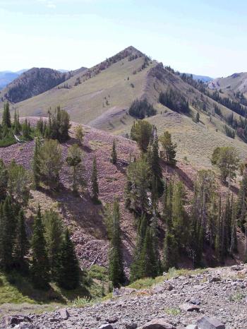 View S to Hyndsight, not far from the Pioneer Cabin. Cairn and horseshoe placed 8/27/09, photo by Rick Baugher