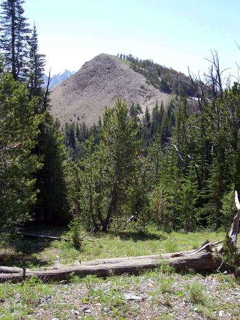 View SE to Trail Creek Summit East. Cairn and note placed 7/15/09, photo by Rick Baugher