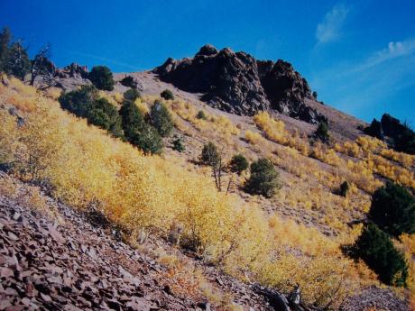 Golden scrub aspen, talus, and andesite outcrops en route to Beetle Bailey, 9/30/05. Photo by Rick Baugher.