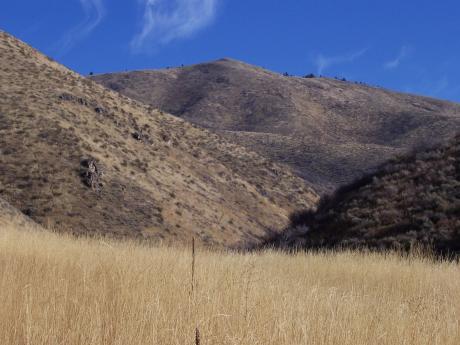 John Evans Peak, photo by Rick Baugher.