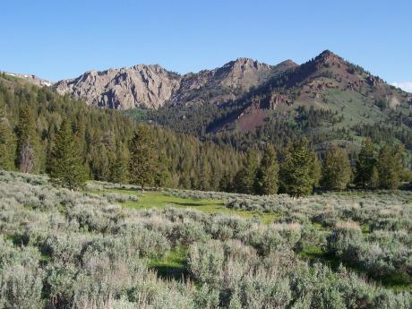 View N across Sawmill Canyon to Sage Creek Peak el 9542' on 6/30/08. This summit was cairned 5/28/03. Not far from here is the San Filipe Ranch, once owned by David Packard of Hewlett Packard fame. Photo by Rick Baugher
