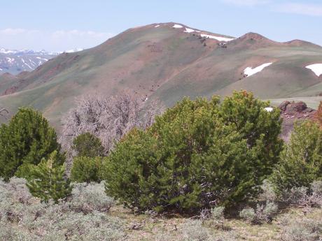 SW to West Jerry, photo by Rick Baugher