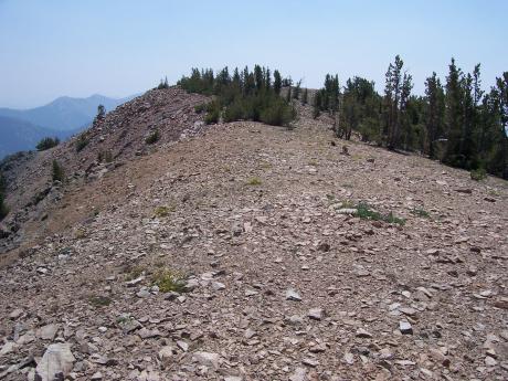 Summit of Big Peak. Photo by Rick Baugher.