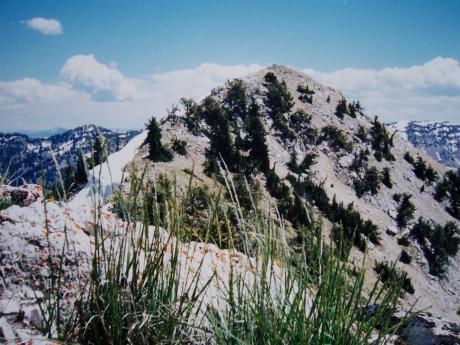 Needle Peak el 9449', photo by Rick Baugher.