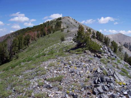 North of P1, and now in the Champion Creek drainage, is Champion Peak el 10121'. Cairn placed 7/30/09. View N with Washington Peak on right, while signature puffy white clouds form.. Photo by Rick Baugher.