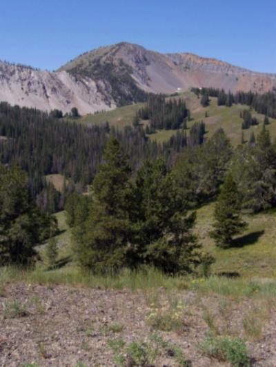 View SW to P3 el 10166' on 7/31/09. In the foreground is the broad pass of Pole Creek Summit.. Photo by Rick Baugher.