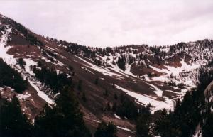 Scorpion's north ridge.