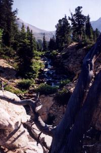 Hyndman Basin creek