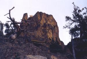 The terrain from the cross country route near Goat Pass